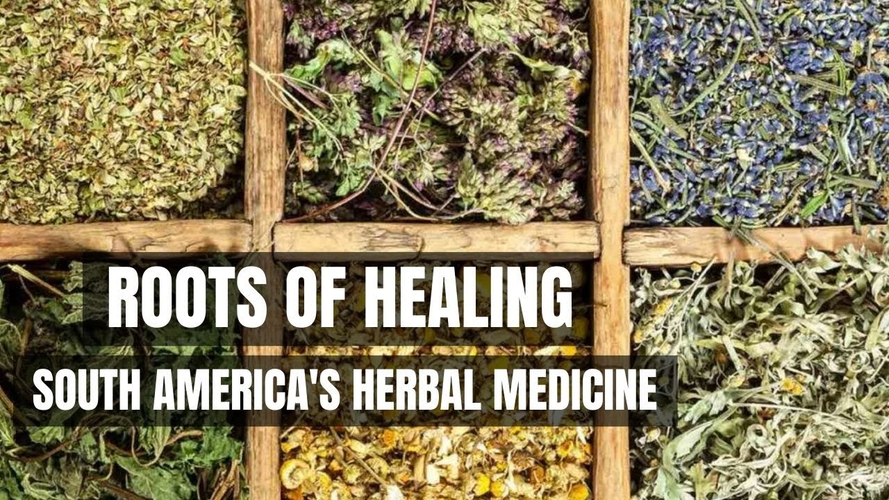 Healing effects, fragrance and intense flavor - Herbs in South America | myDocumentary