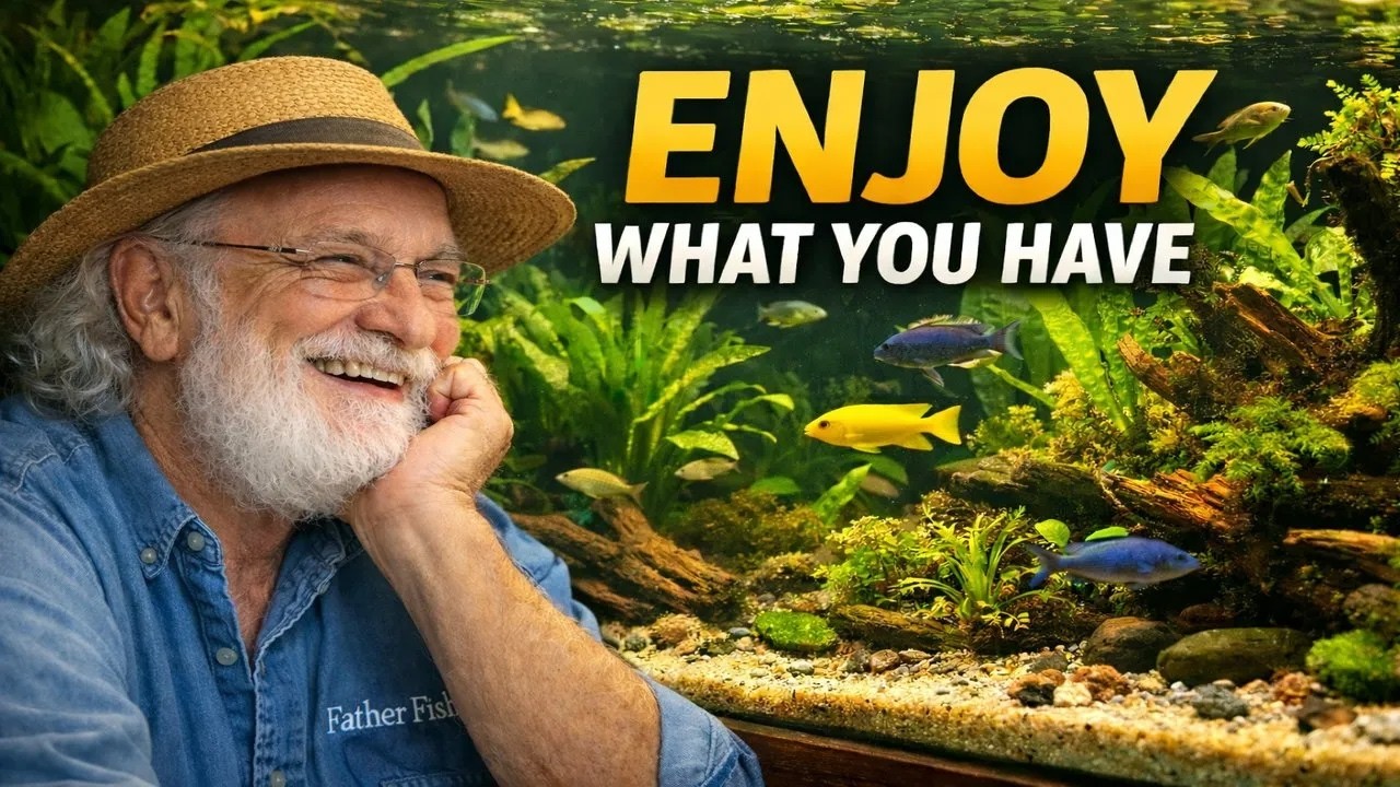 Enjoy Your Aquarium
