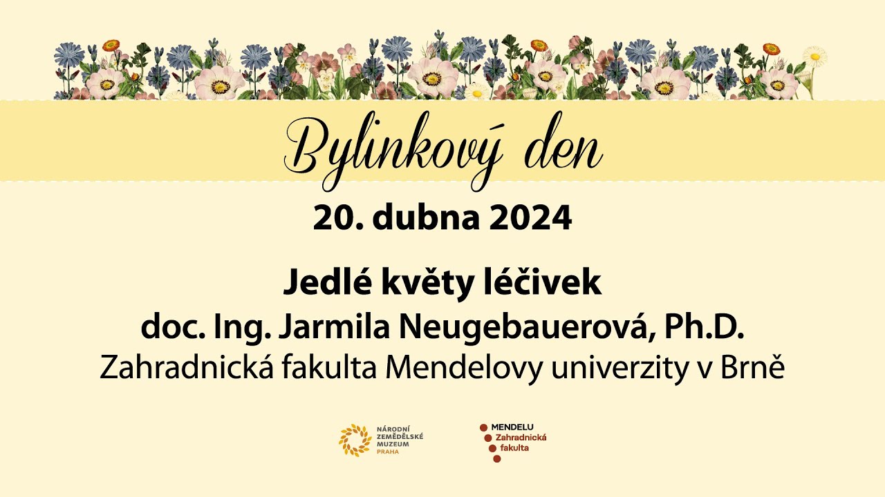 Jedlé květy léčivek (Jarmila Neugebauerová, Zahradnická fakulta Mendelovy univerzity v Brně)