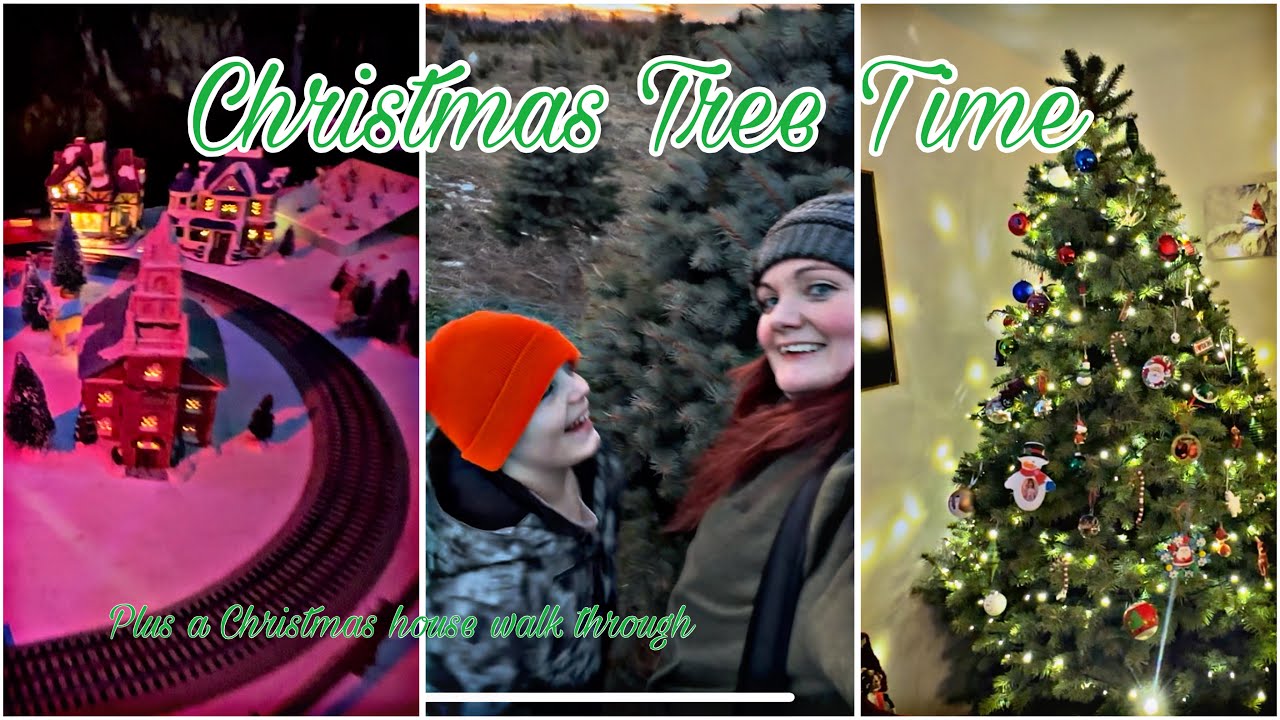 Getting and Decorating Our Christmas Tree 🎄