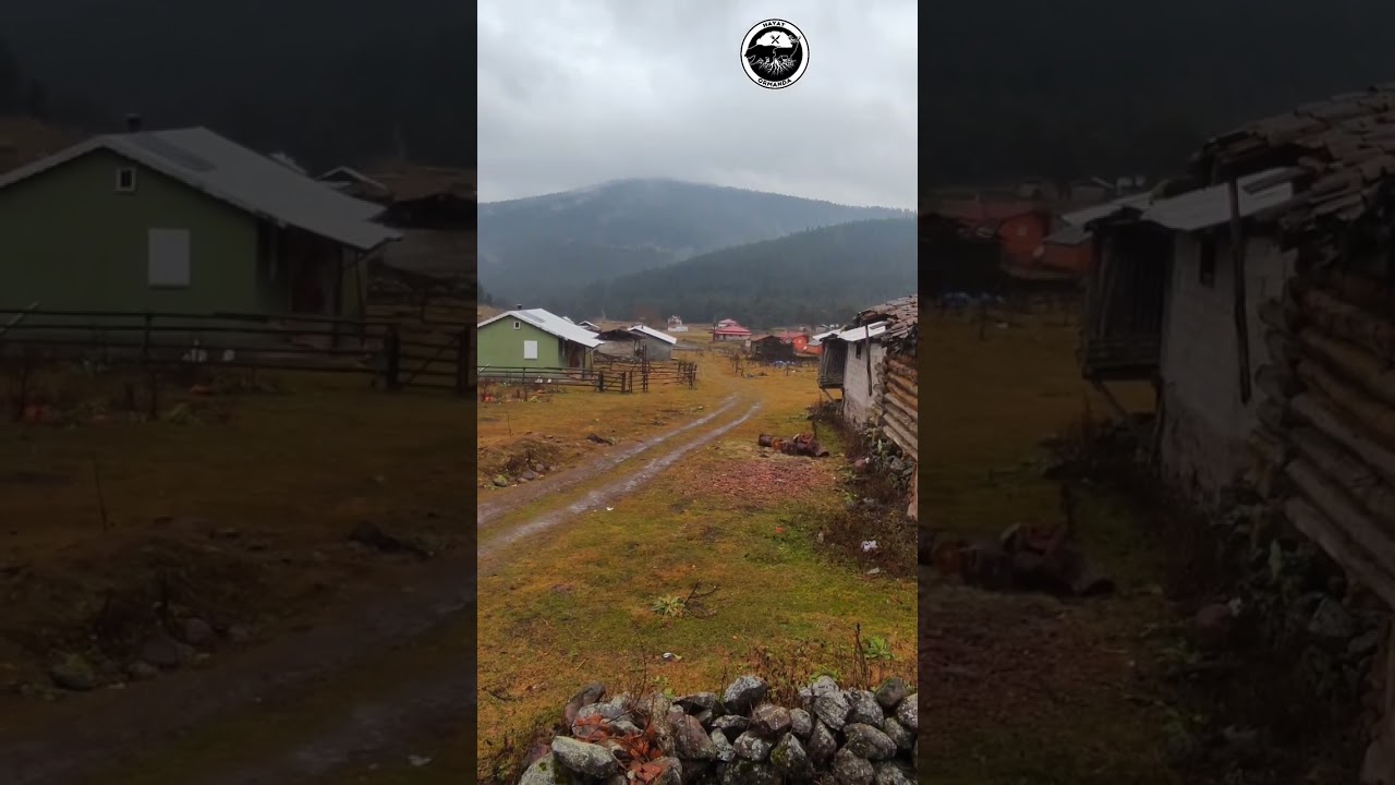 d&ouml;rtdivan 2022  yalacık k&ouml;y&uuml; yaylası