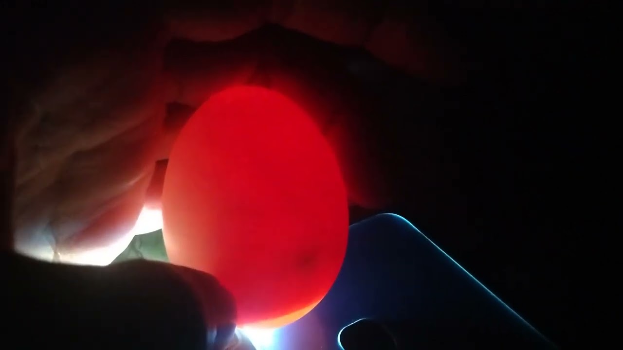 Egg candling process