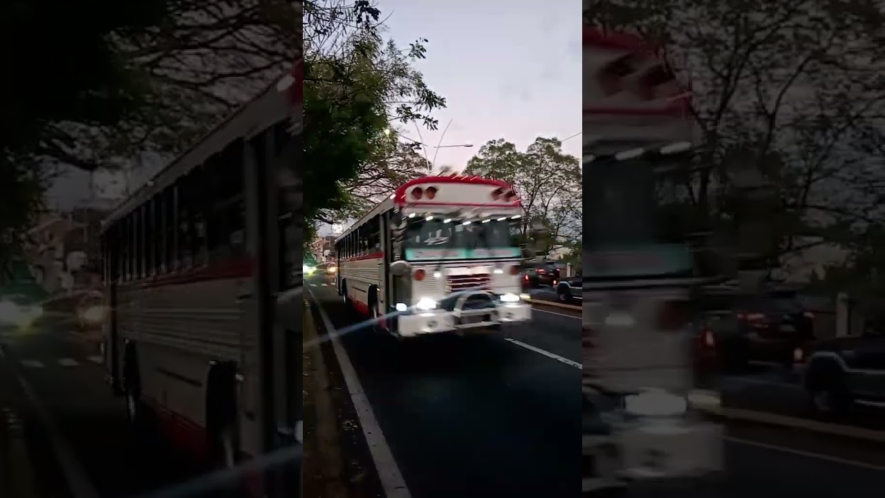 belleza de nave de la ruta 43❤️❤️