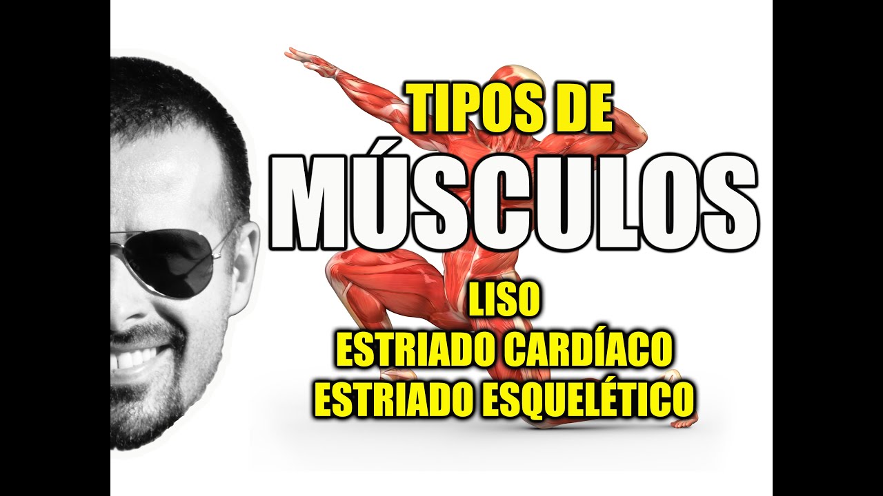 Tipos de Músculos: Liso, Estriado Cardíaco e Esquelético - Sistema Muscular - VideoAula 081