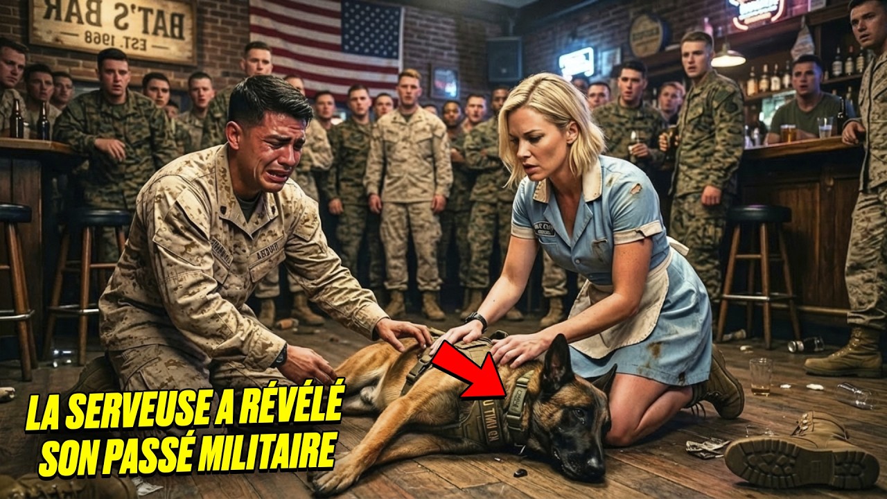 Ils ignoraient que la serveuse était chirurgienne de combat — jusqu’à ce qu’un chien s’écroule
