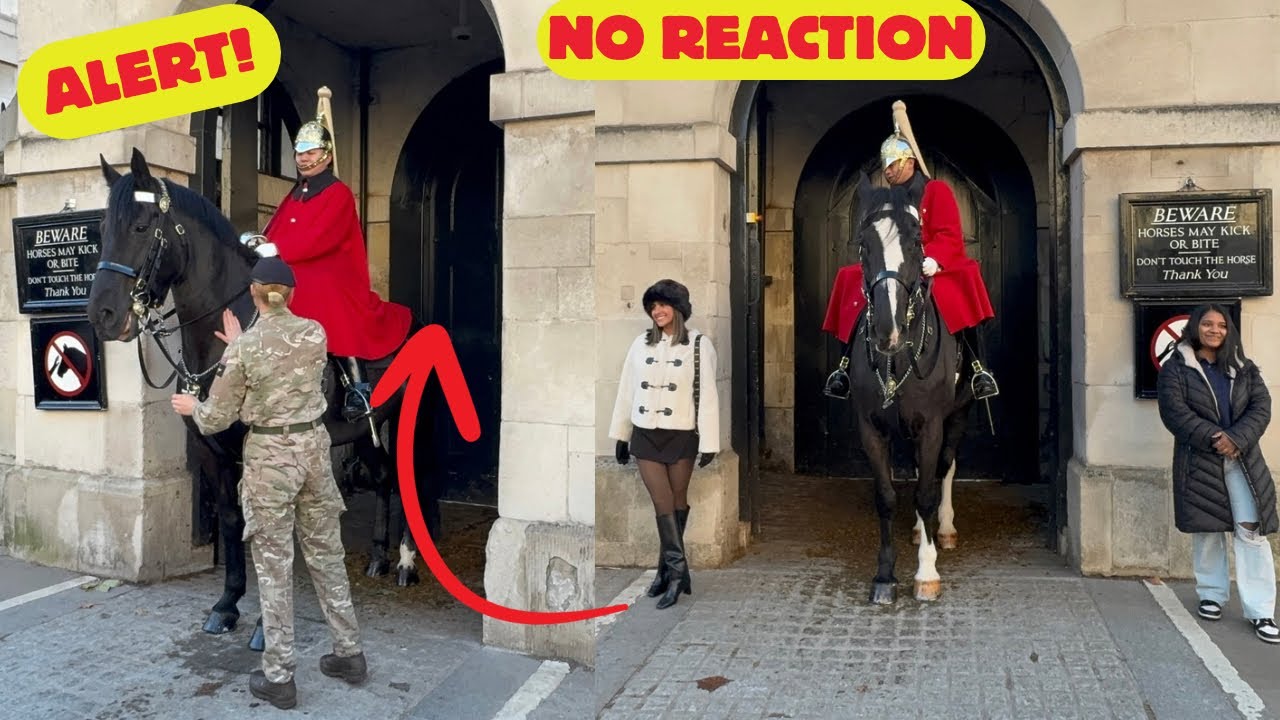  SHOCKING 😮 YOU WON’T BELIEVE THIS: Man Walks Behind the Horse Guard 🚪 GUARD CALM! 😂