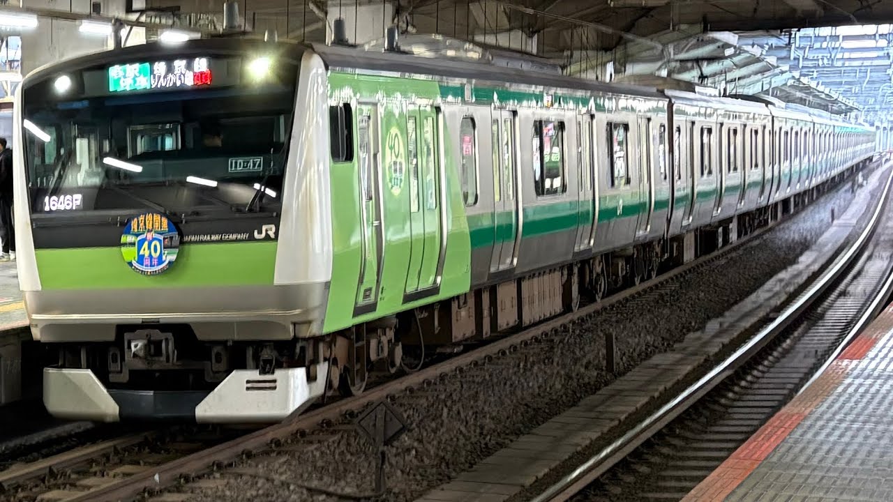 【埼京線】E233系7000番台（ハエ117編成）埼京線開業40周年記念ラッピング　りんかい線直通各駅停車新木場行き