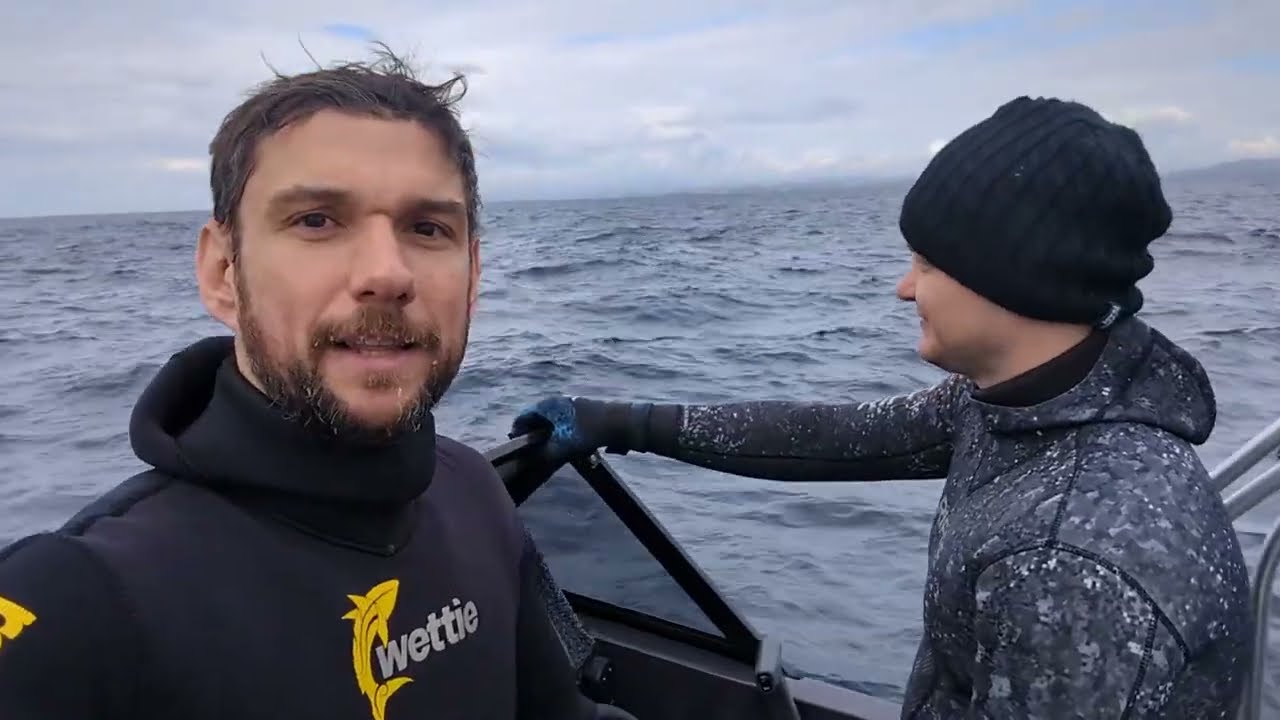 Подводная охота , что затянулась:Wahoo, Kingfish и новый рецепт из икры #spearfishing#подводнаяохота