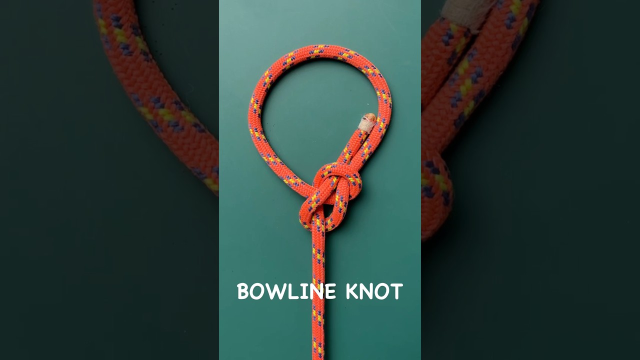 Learn How to Tie Bowline Knot! #knot #shorts