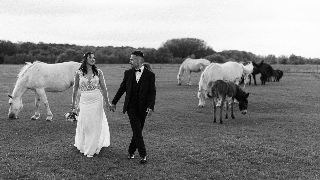 Barbi+Bence Wedding Film /Ugo Birtok/