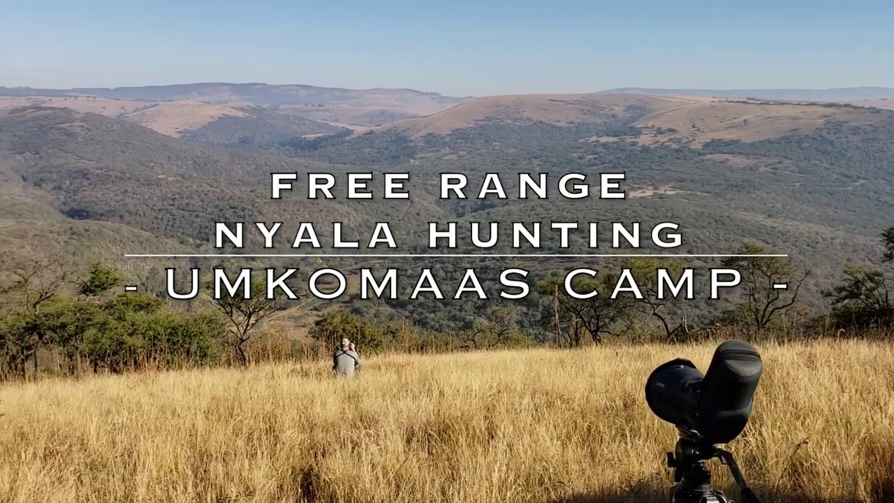 Nyala Hunting | Crusader Safaris