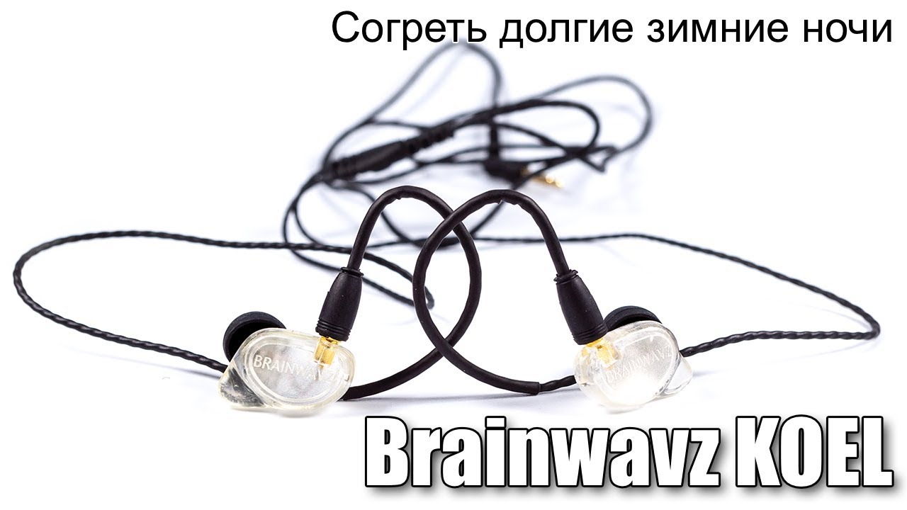 Обзор наушников Brainwavz KOEL