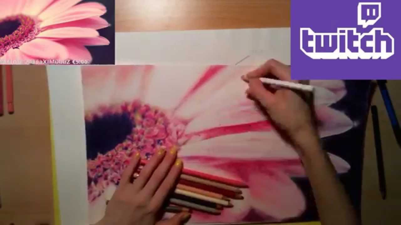 Colored Pencil Drawing: Gerbera Flower - Speed Draw | JosYMovieS