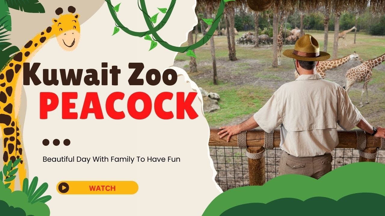 KuwaitZoo peacock with whitepeacock IndiaNationalBird 15March 2019 