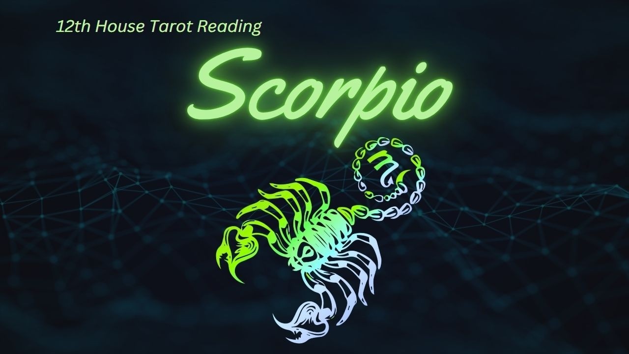 SCORPIO   /  Feb 16 22 2026 You are leveling up and changing