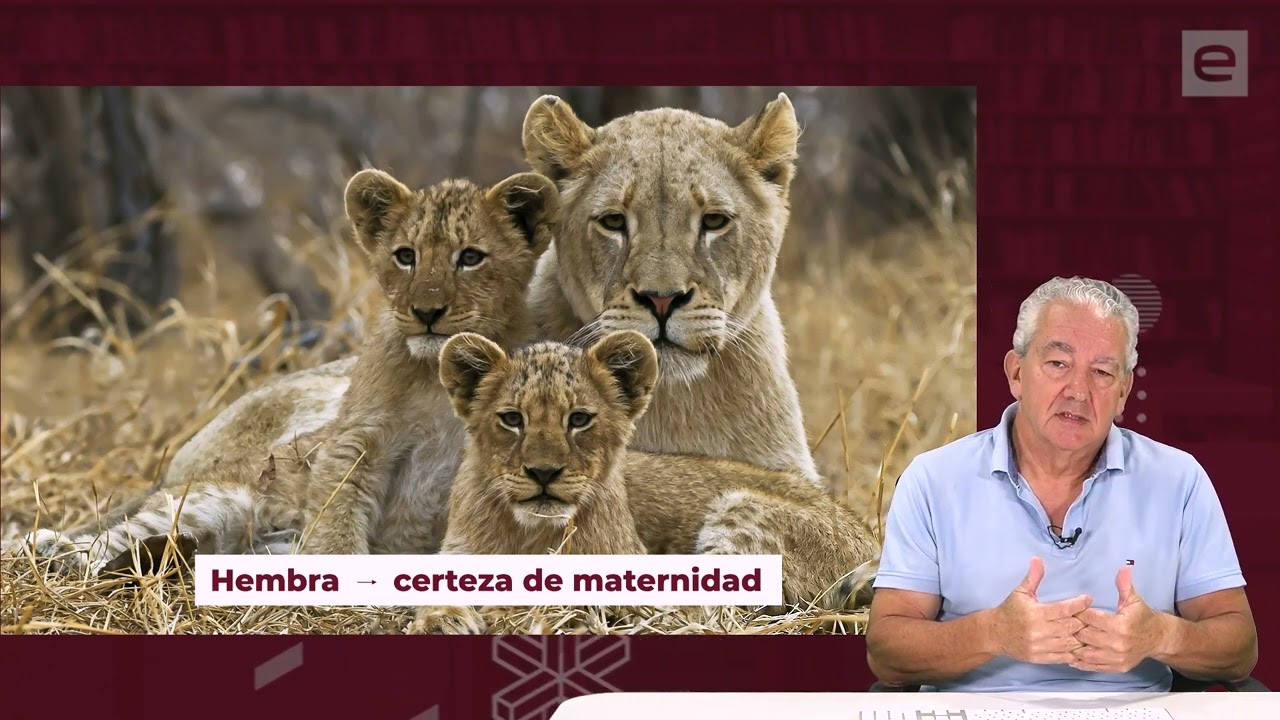 La celotipia o celos patol&oacute;gicos - Grupo Esneca TV