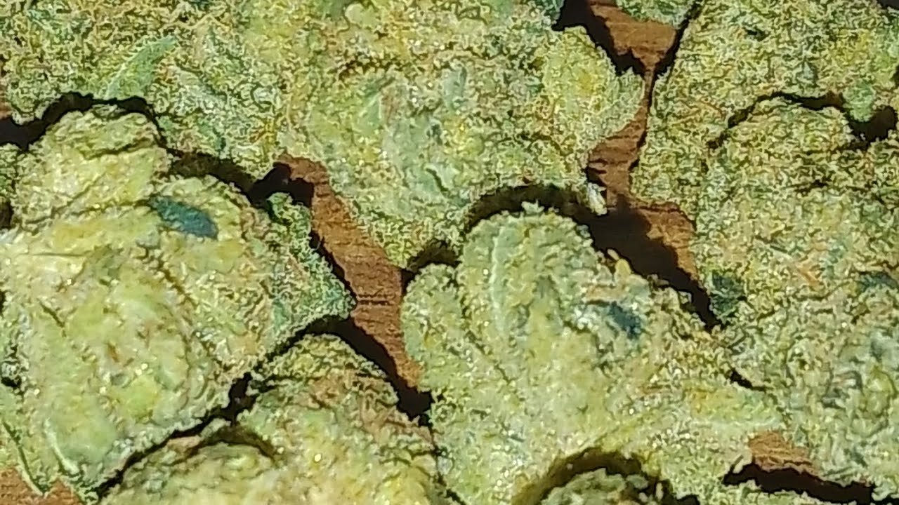 Lemon Sour Diesel 29%