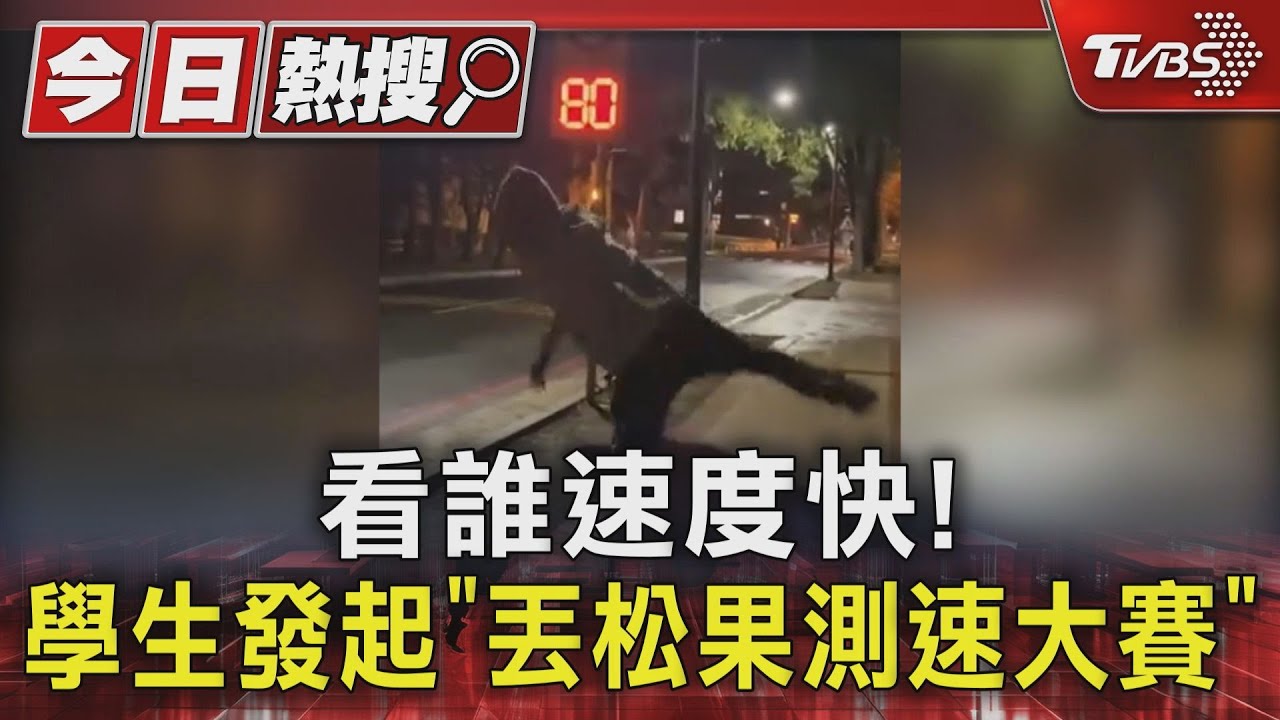 看誰速度快!學生發起「丟松果測速大賽」｜TVBS新聞 @TVBSNEWS01