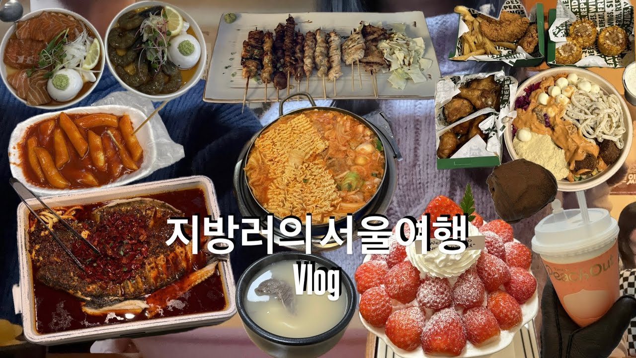 (Vlog)지방러가 서울에 먹으러만 온다면 🤤 브이로그 | 반티엔야오카오위 | 윙스탑🍗 | 네모네 딸기빙수🍓🍧 | 을지로 꽃지로🥟 | 차백도 피치우롱티🍑 | 한국관 김치찌개 | 