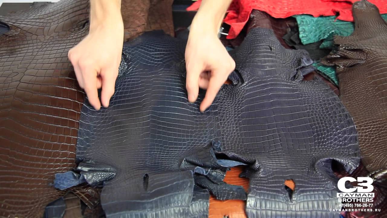 ВидеоОбзор#4  Отличия кожи крокодила: кожа каймана, кожа аллигатора, кожа поросуса
