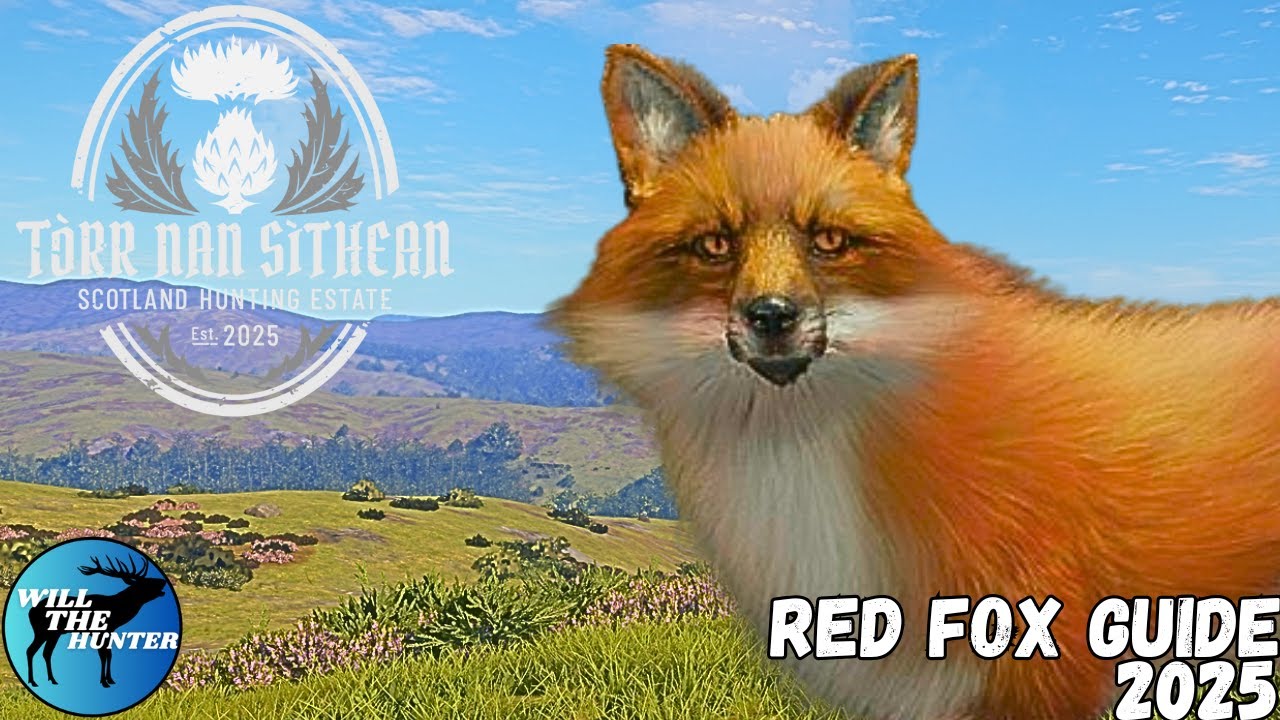 Башня ведьм (Шотландия) Путеводитель по рыжей лисе | TheHunt Call Of The Wild