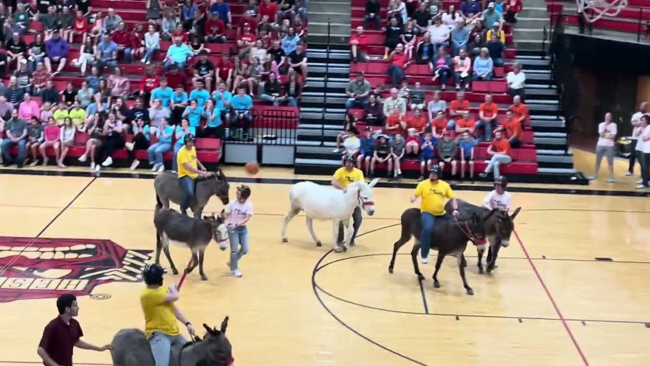 Donkey basketball part 2