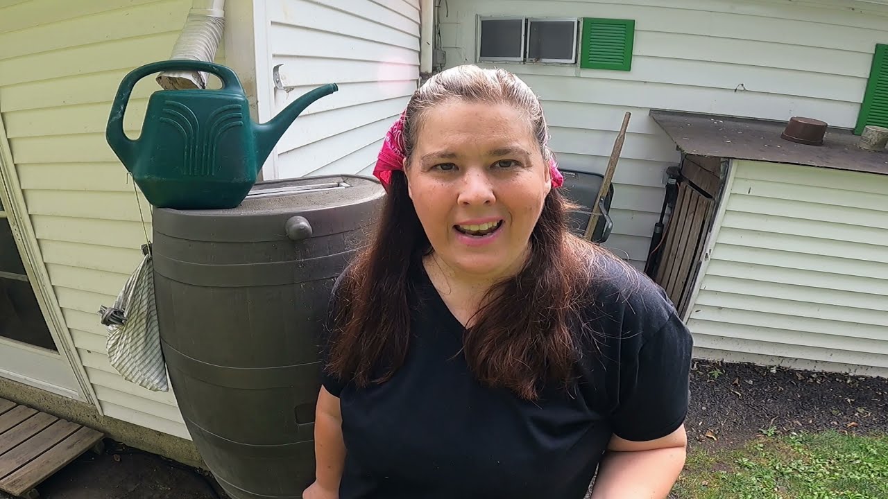 How to survive Suburban living off grid