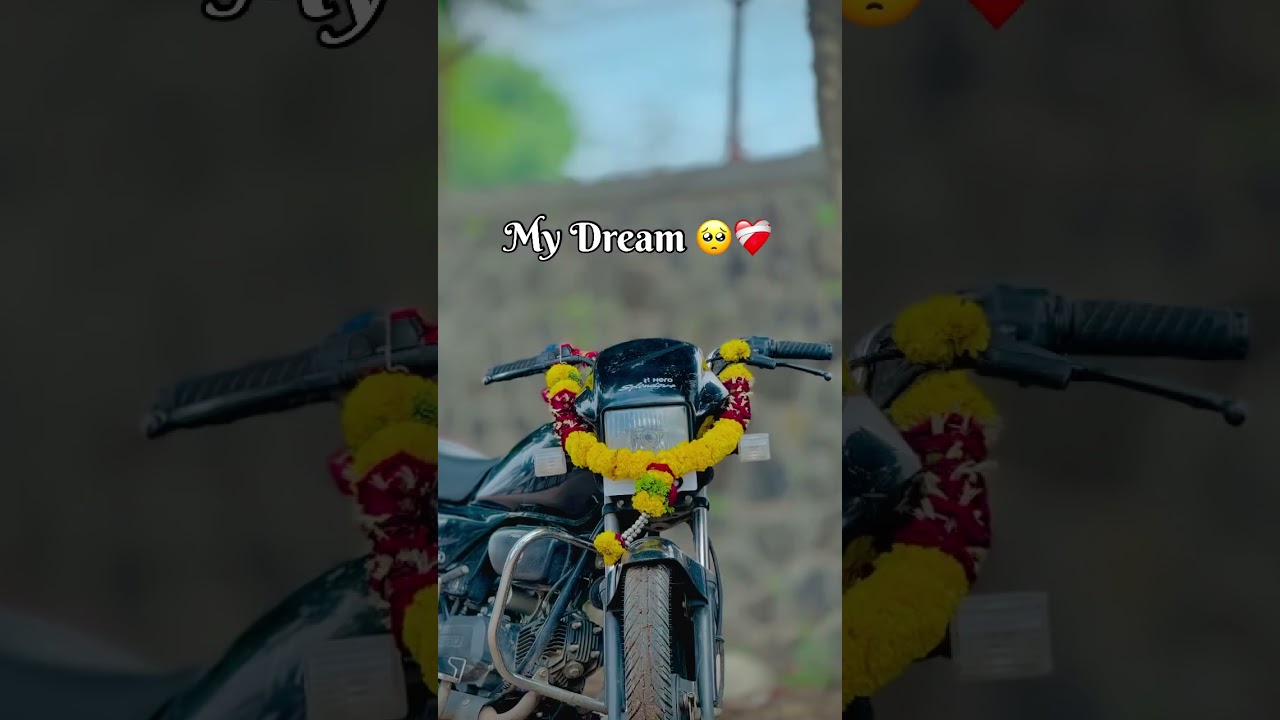 dream lover ❤️