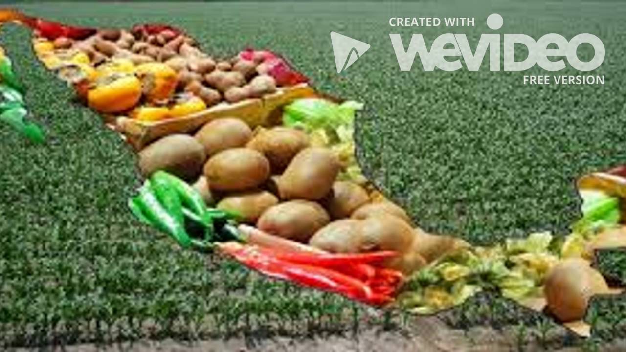 Neoliberalismo y Globalizacion en Mexico, Impacto Local y nacional