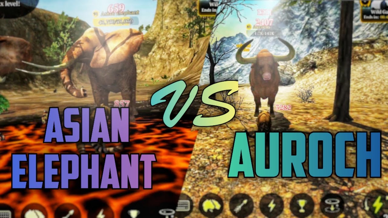 The Tiger: Asian Elephants VS Aurochs Quests 🔥