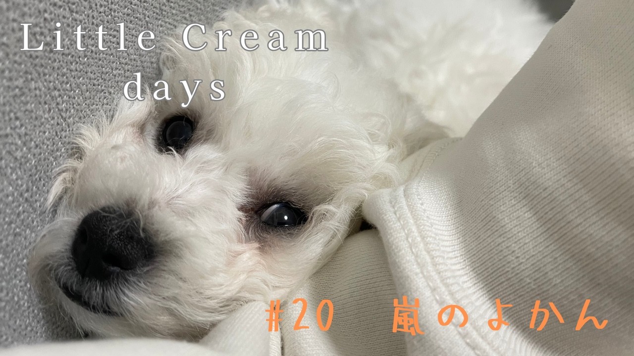 クリームデイズ｜#020   嵐のよかん