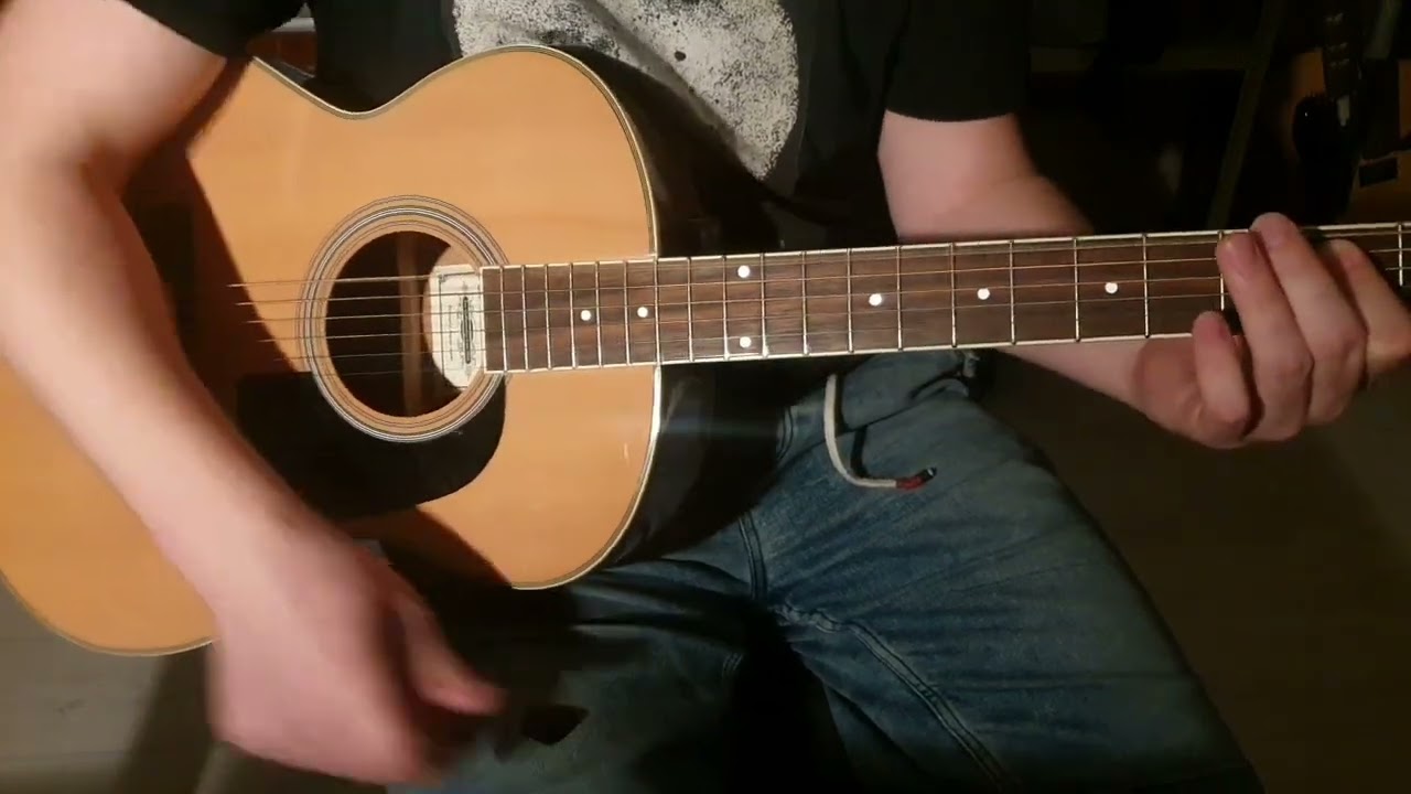 Акустическая гитара Aria AF-20 N Demo