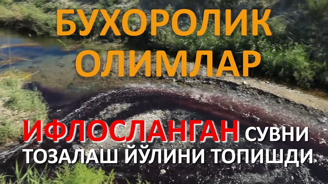 Ифлосланган сувни тозалаш усули топилди