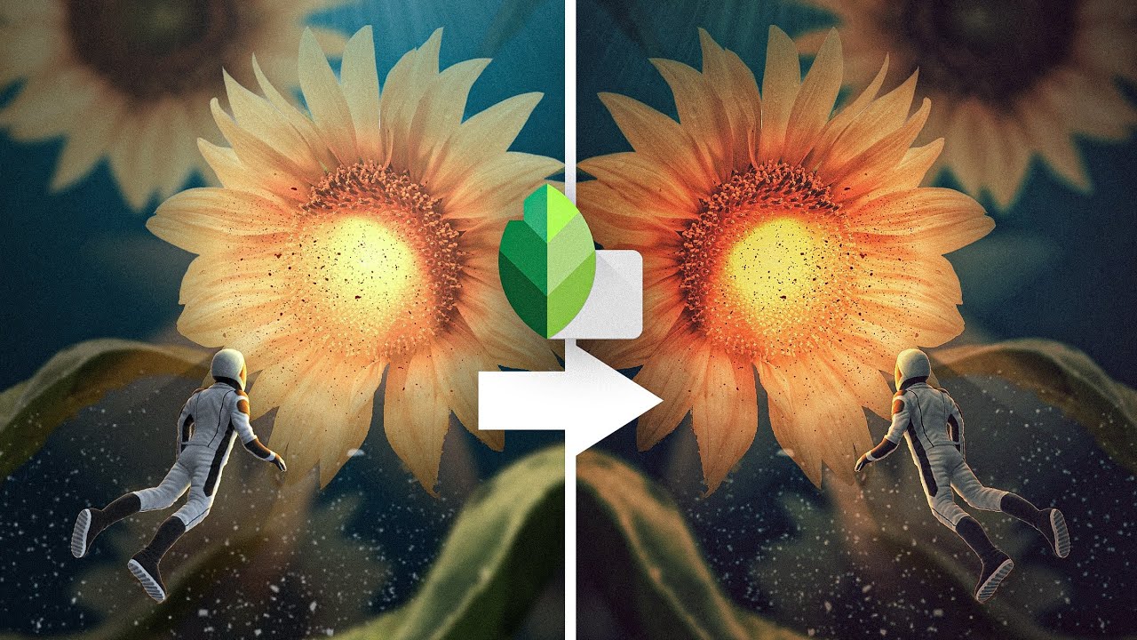 How to Color grade in Snapseed