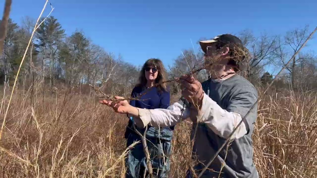 Pleasant Grove River Cane Planting