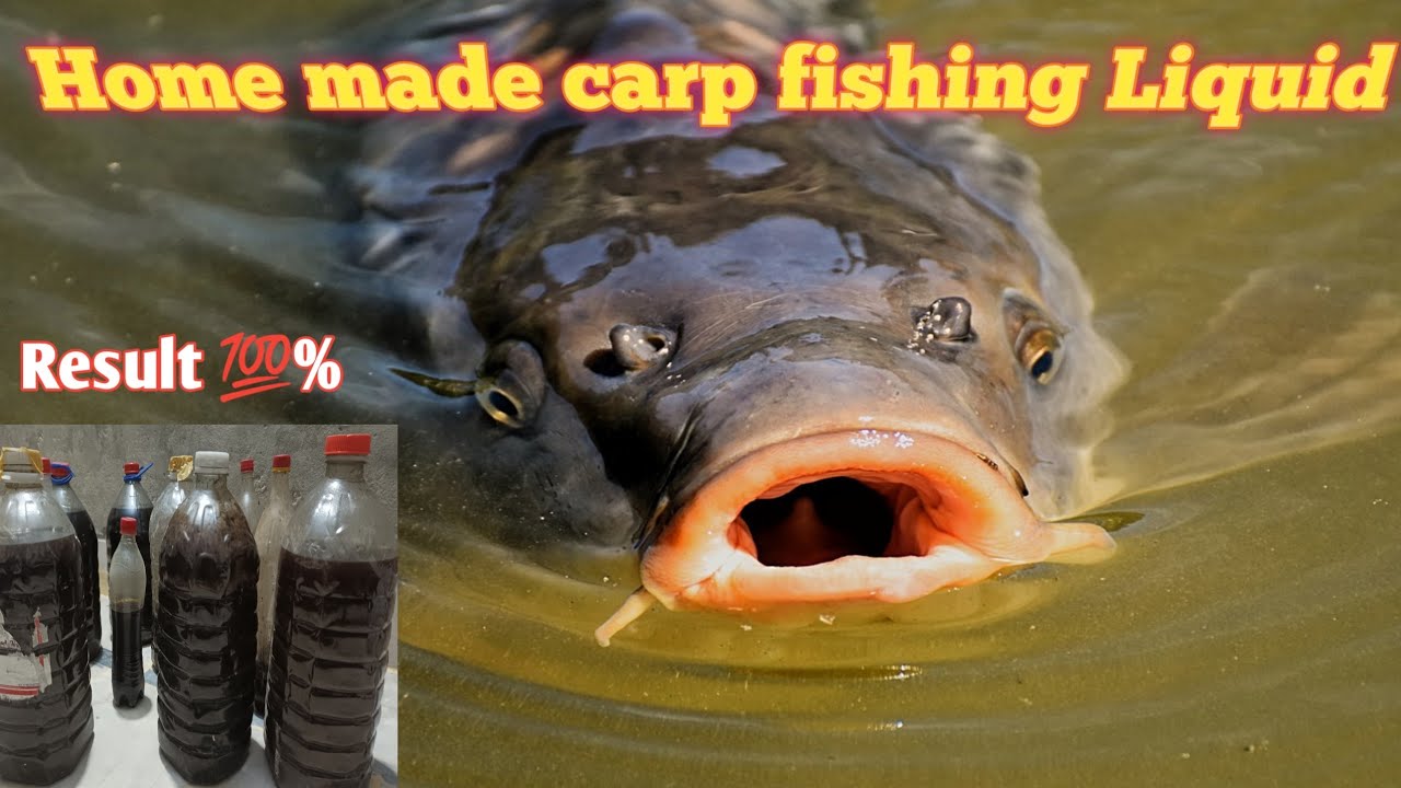 Home made carp fishing liquid | Laag bnane ka tarika