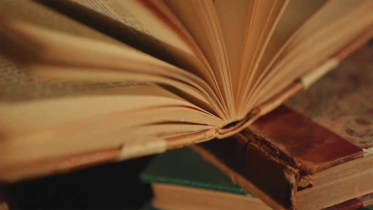 MS 408 : Le manuscrit Voynich