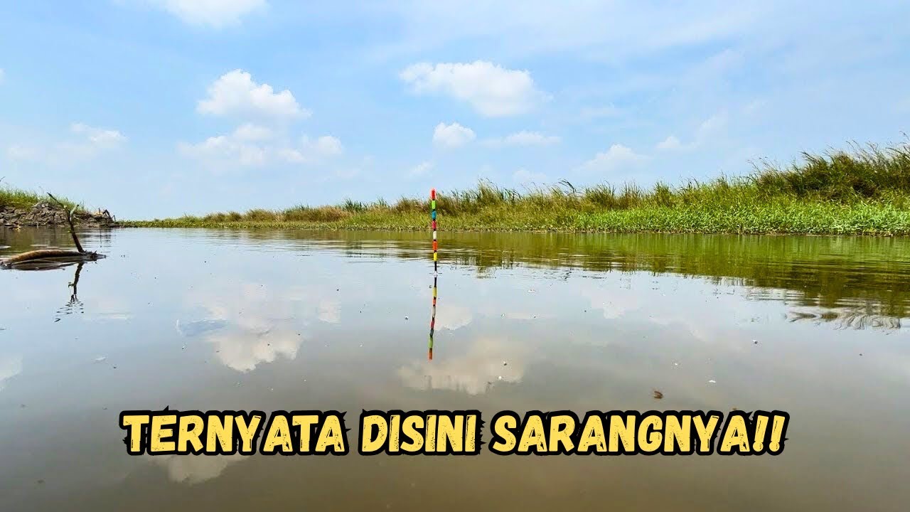 Kalau mancing di sini harus bawa umpan yang banyak