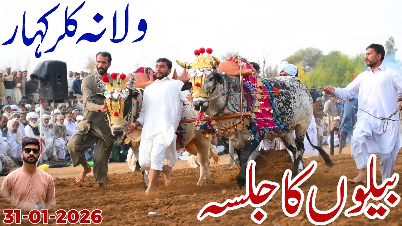 Bail Jalsa 2026 || Jalsa Bail Karah Walana Kallar Kallar ll Chakwal Culture || @TravelWithWaleed9 