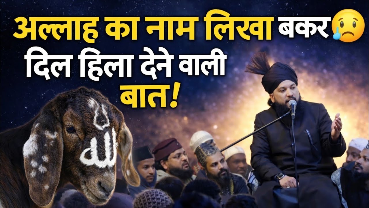 वह बकरा महंगा बिकता है जिस पर अल्लाह का नाम हो | सैयद शबाहत हुसैन तकरीर Syed Sahbahat Hussain