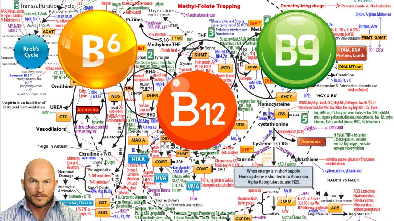 Unveiling the Methylation Pathway: The Power of B12, B9, and B6
