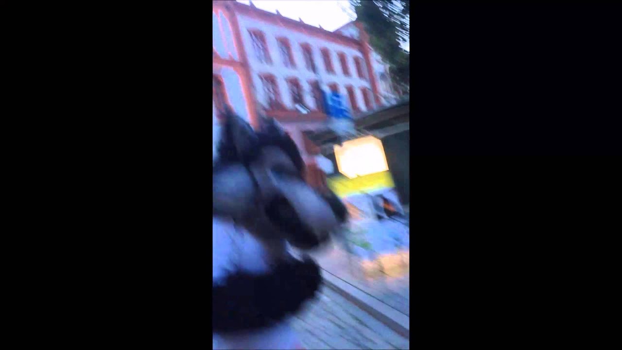 SEAWOLVES TV: Wolfi läuft die letzte Marathon-Etappe