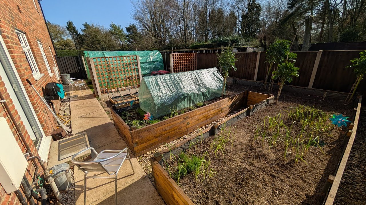 The vegetable garden extended by 75% and what we are doing with the extra space.
