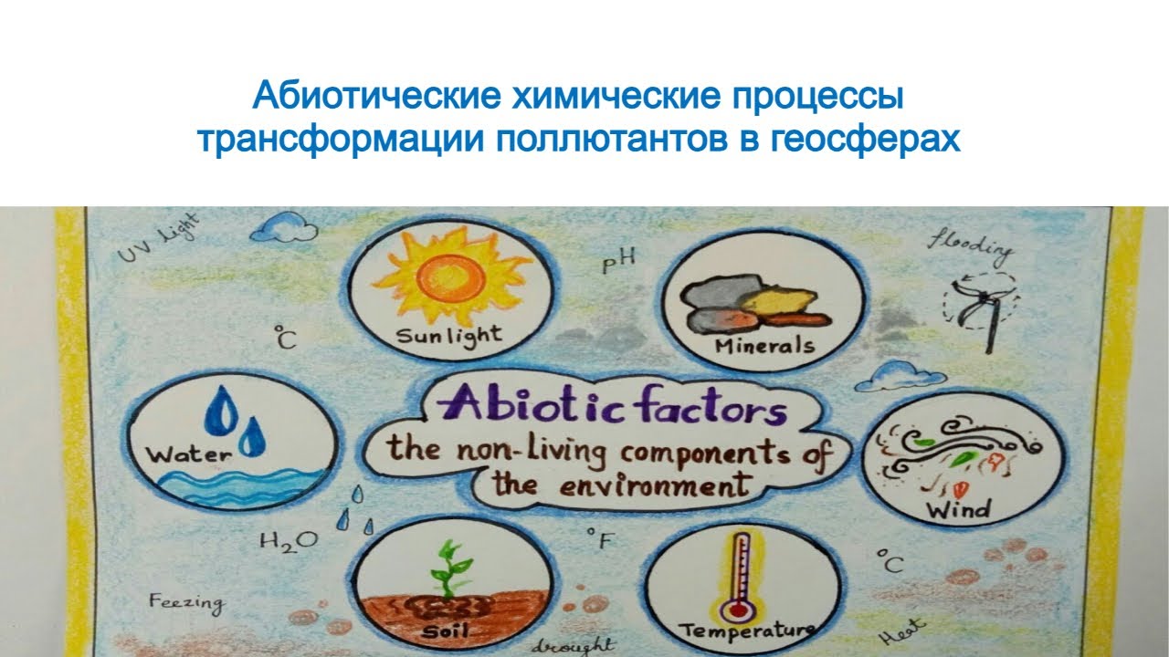 Абиотические химические процессы в геосферах. Аналитический контроль объектов окружающей среды.