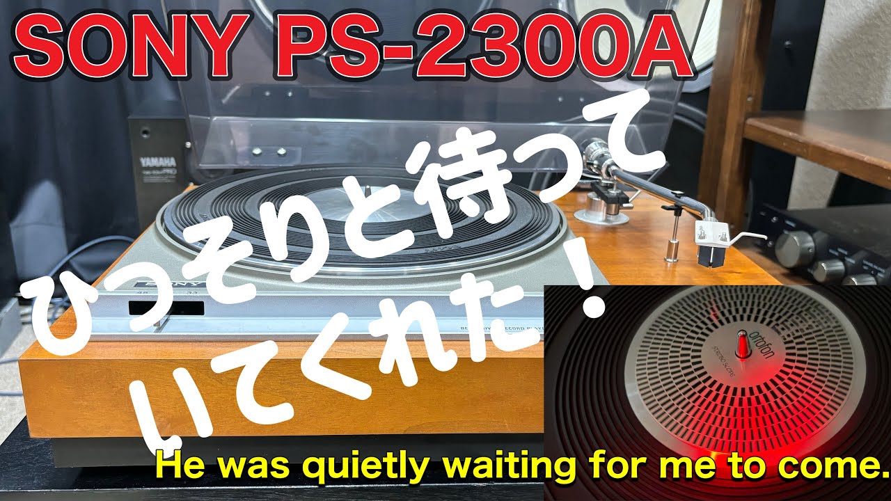 ■静かにひっそりと陰に隠れていたところを救出！　Rescued someone who was quietly hiding in the shadows !　ソニー SONY PS-2300A
