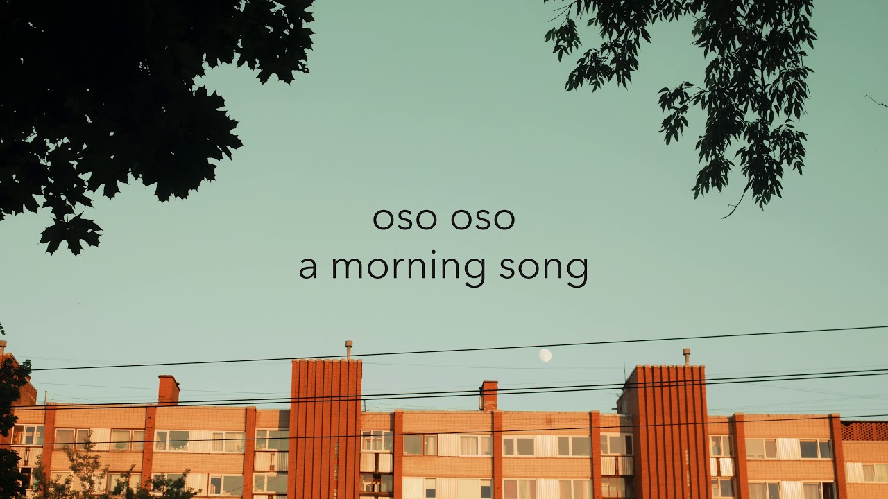 oso oso - 