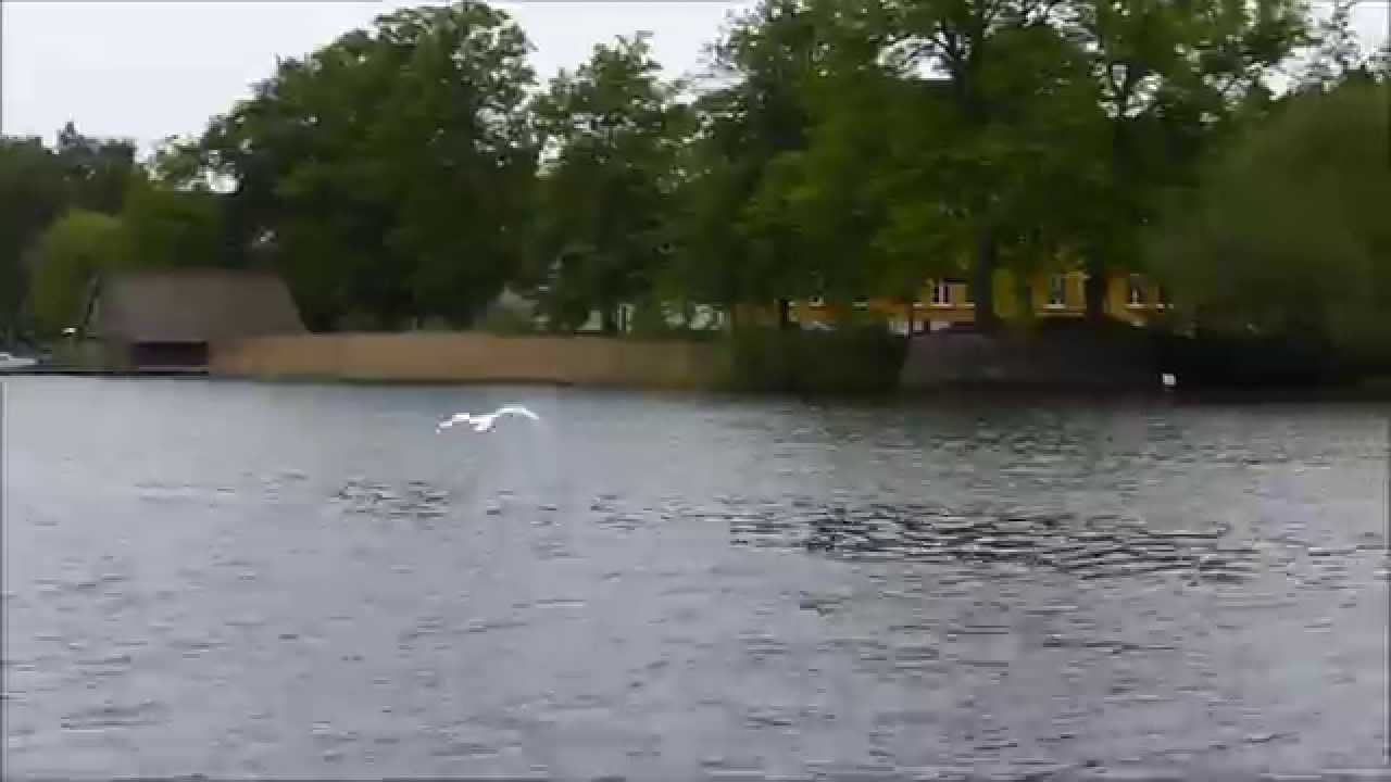 Schwanenflug - Swan flight