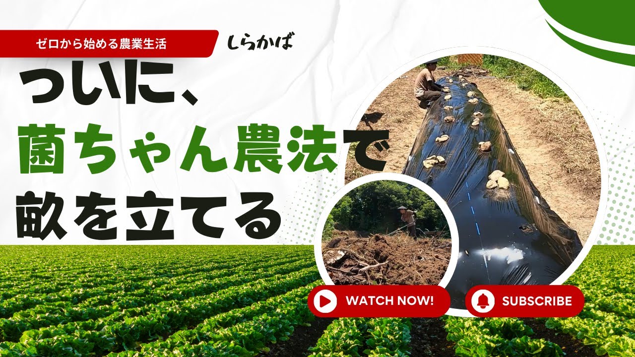【ゼロから始める農業生活】第九話「菌ちゃん農法で畝を立てる ただそれだけ」
