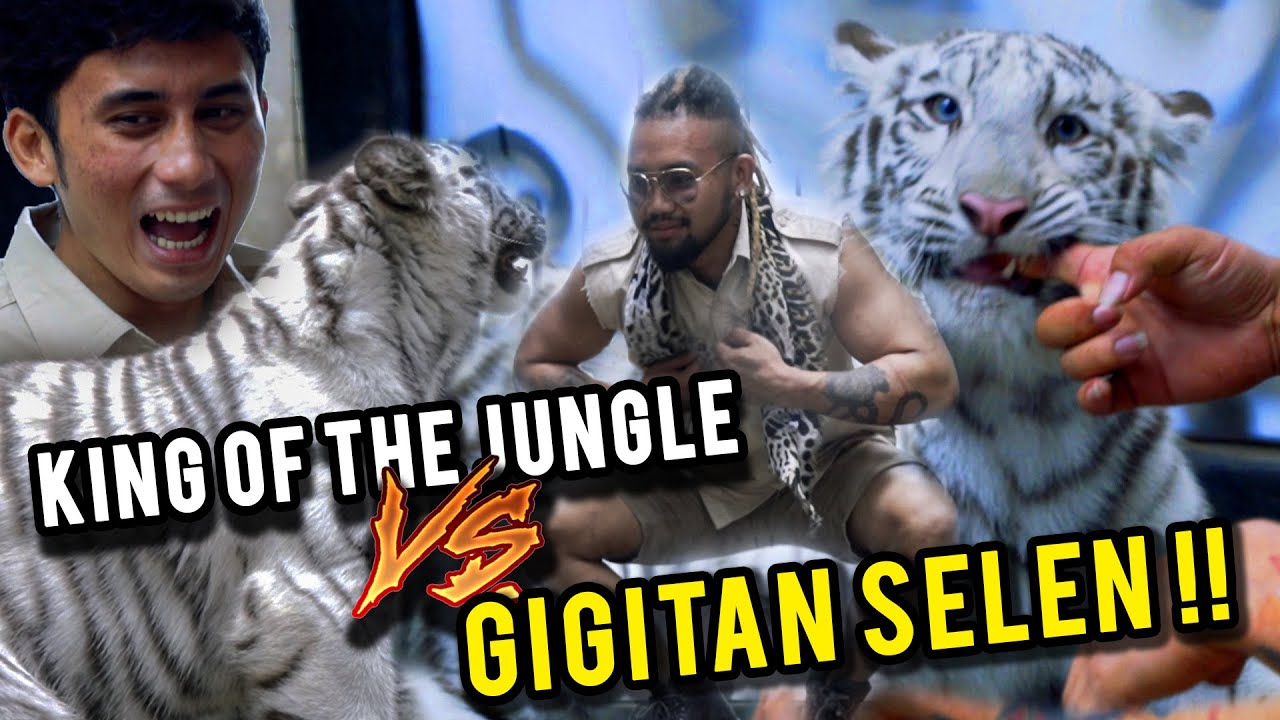 PANIK !! GELUD SAMA SELEN, HARIMAU PUTIH VIRAL ALSHAD AHMAD!! GIMANA REAKSI KENA GIGIT SELEN ??!!