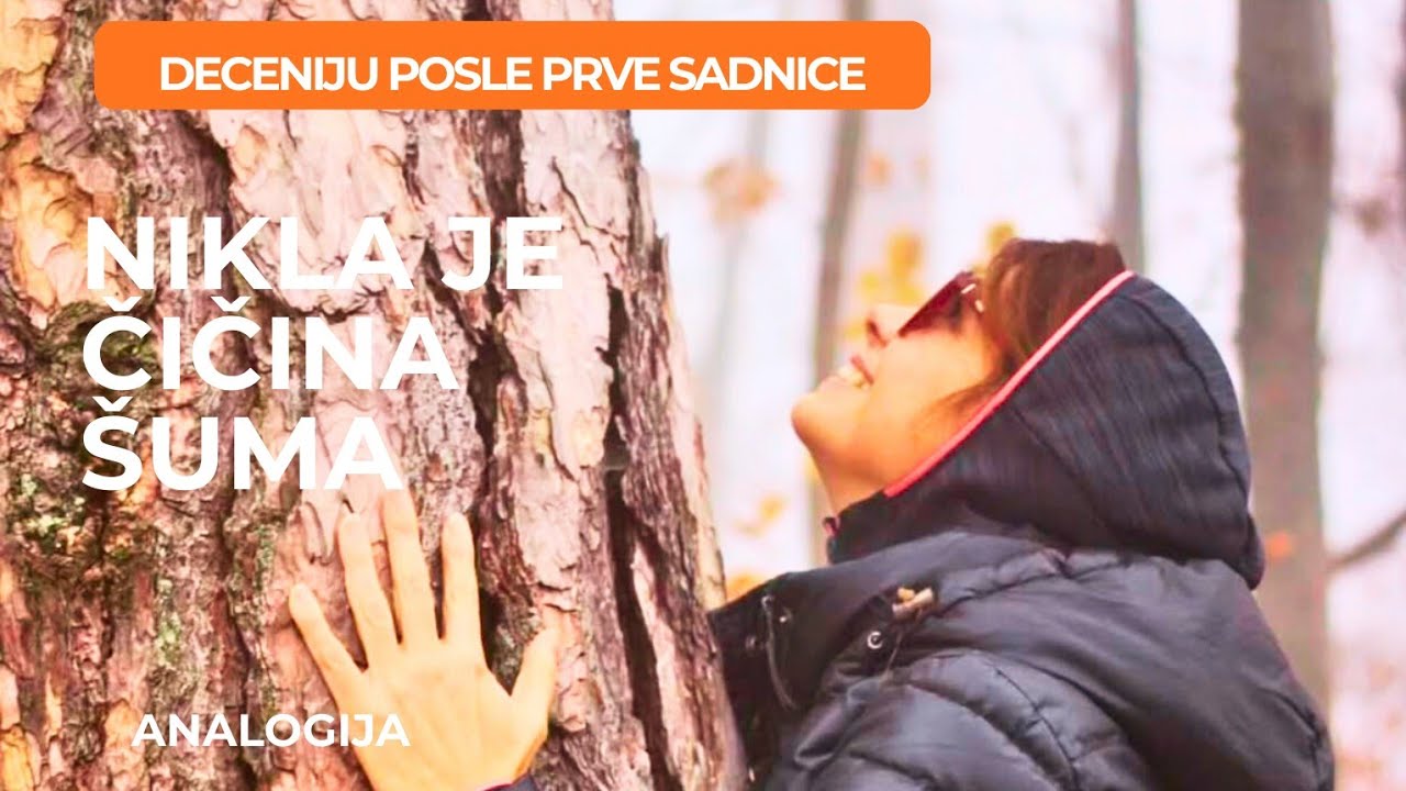 Zasadio je šumu sa 27 godina – 10 godina kasnije nastala je “Čičina šuma” -  Analogija podkast